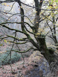 El otoño, retratado por los lectores de Diariodenavarra.es.