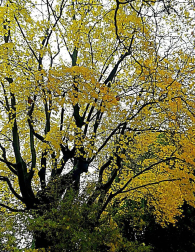 El otoño, retratado por los lectores de Diariodenavarra.es.