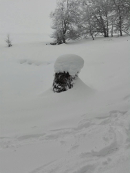Fotos de la nieve enviadas por los lectores