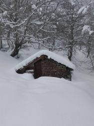 Fotos de la nieve enviadas por los lectores