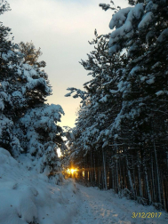 Fotos de la nieve enviadas por los lectores