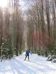 Fotos de la nieve enviadas por los lectores