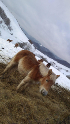 Fotos de la nieve enviadas por los lectores