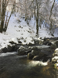 Fotos de la nieve enviadas por los lectores