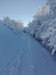 Fotos de la nieve enviadas por los lectores
