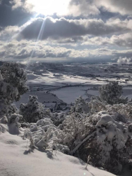 Fotos de la nieve enviadas por los lectores