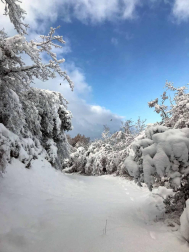 Fotos de la nieve enviadas por los lectores