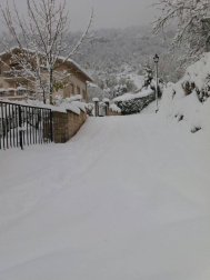 Fotos de la nieve enviadas por los lectores