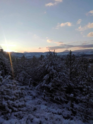 Fotos de la nieve enviadas por los lectores