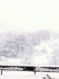 Fotos de la nieve enviadas por los lectores
