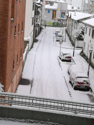 Fotos de la nieve enviadas por los lectores