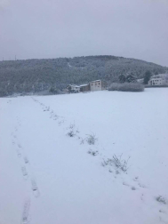 Imágenes enviadas por los lectores de Diario de Navarra de las luvias y las nieves del 6 de enero de 2018.