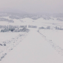 Imágenes enviadas por los lectores de Diario de Navarra de las luvias y las nieves del 6 de enero de 2018.