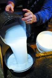 La noticia se publicó hace días: el valle de Ultzama roza el pleno empleo. ¿Cuál es el secreto de este lugar de 1.667 habitantes y 33 parados? Un trabajador de una fábrica de piensos, un carpintero y un chapista, todos de Ultzama, responden a la pregunta