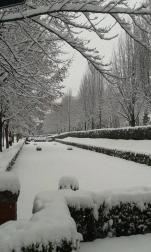Estampas de todos los rincones de Navarra bajo el manto blanco caído el último día de febrero.