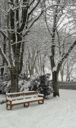Estampas de todos los rincones de Navarra bajo el manto blanco caído el último día de febrero.