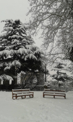 Estampas de todos los rincones de Navarra bajo el manto blanco caído el último día de febrero.