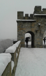 Estampas de todos los rincones de Navarra bajo el manto blanco caído el último día de febrero.