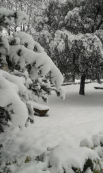 Estampas de todos los rincones de Navarra bajo el manto blanco caído el último día de febrero.