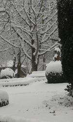 Estampas de todos los rincones de Navarra bajo el manto blanco caído el último día de febrero.