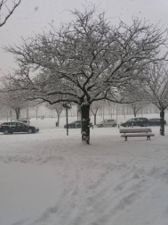 Estampas de todos los rincones de Navarra bajo el manto blanco caído el último día de febrero.