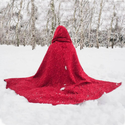Estampas de todos los rincones de Navarra bajo el manto blanco caído el último día de febrero.