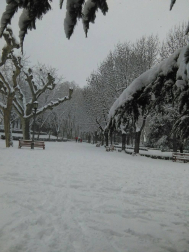 Estampas de todos los rincones de Navarra bajo el manto blanco caído el último día de febrero.