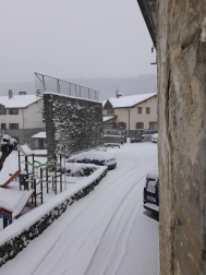 Estampas de todos los rincones de Navarra bajo el manto blanco caído el último día de febrero.