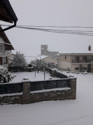 Estampas de todos los rincones de Navarra bajo el manto blanco caído el último día de febrero.