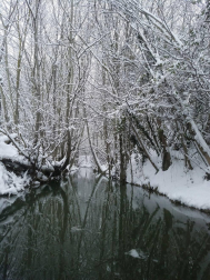Estampas de todos los rincones de Navarra bajo el manto blanco caído el último día de febrero.