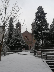 Estampas de todos los rincones de Navarra bajo el manto blanco caído el último día de febrero.