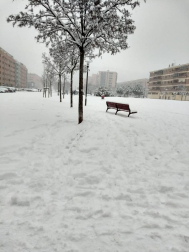Estampas de todos los rincones de Navarra bajo el manto blanco caído el último día de febrero.