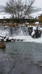 Estampas de todos los rincones de Navarra bajo el manto blanco caído el último día de febrero.