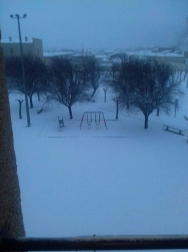 Estampas de todos los rincones de Navarra bajo el manto blanco caído el último día de febrero.