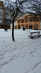 Estampas de todos los rincones de Navarra bajo el manto blanco caído el último día de febrero.