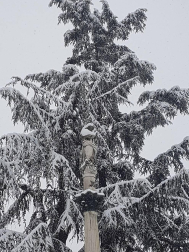 Estampas de todos los rincones de Navarra bajo el manto blanco caído el último día de febrero.