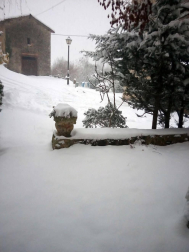 Estampas de todos los rincones de Navarra bajo el manto blanco caído el último día de febrero.