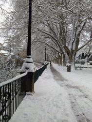 Estampas de todos los rincones de Navarra bajo el manto blanco caído el último día de febrero.