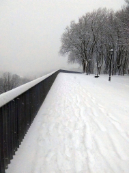 Estampas de todos los rincones de Navarra bajo el manto blanco caído el último día de febrero.