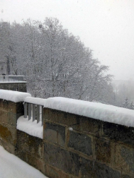 Estampas de todos los rincones de Navarra bajo el manto blanco caído el último día de febrero.