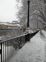 Estampas de todos los rincones de Navarra bajo el manto blanco caído el último día de febrero.