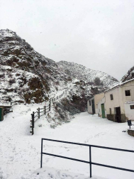 Estampas de todos los rincones de Navarra bajo el manto blanco caído el último día de febrero.