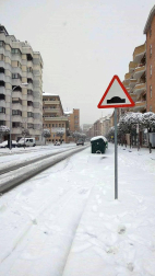 Estampas de todos los rincones de Navarra bajo el manto blanco caído el último día de febrero.