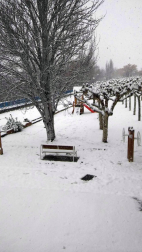 Estampas de todos los rincones de Navarra bajo el manto blanco caído el último día de febrero.