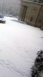 Estampas de todos los rincones de Navarra bajo el manto blanco caído el último día de febrero.