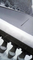 Estampas de todos los rincones de Navarra bajo el manto blanco caído el último día de febrero.