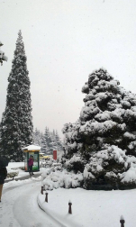 Estampas de todos los rincones de Navarra bajo el manto blanco caído el último día de febrero.