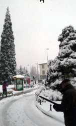 Estampas de todos los rincones de Navarra bajo el manto blanco caído el último día de febrero.