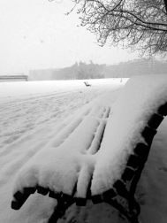 Estampas de todos los rincones de Navarra bajo el manto blanco caído el último día de febrero.