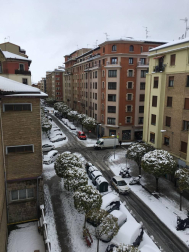 Estampas de todos los rincones de Navarra bajo el manto blanco caído el último día de febrero.